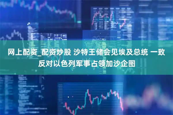 网上配资_配资炒股 沙特王储会见埃及总统 一致反对以色列军事占领加沙企图