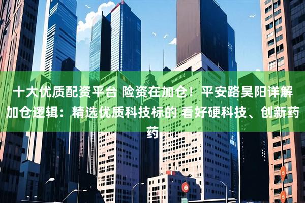 十大优质配资平台 险资在加仓！平安路昊阳详解加仓逻辑：精选优质科技标的 看好硬科技、创新药